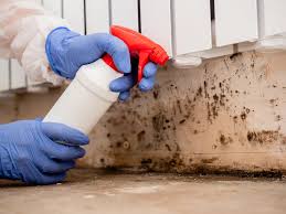 Professional Mold Inspection in Marshall, WI